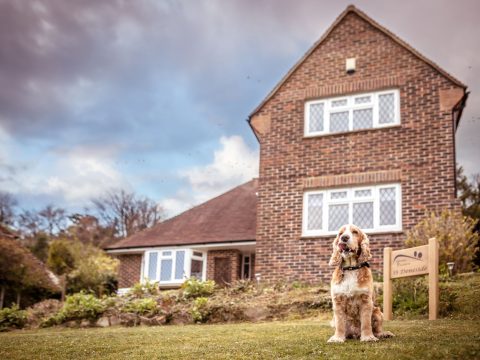 dog-friendly-country-cottage